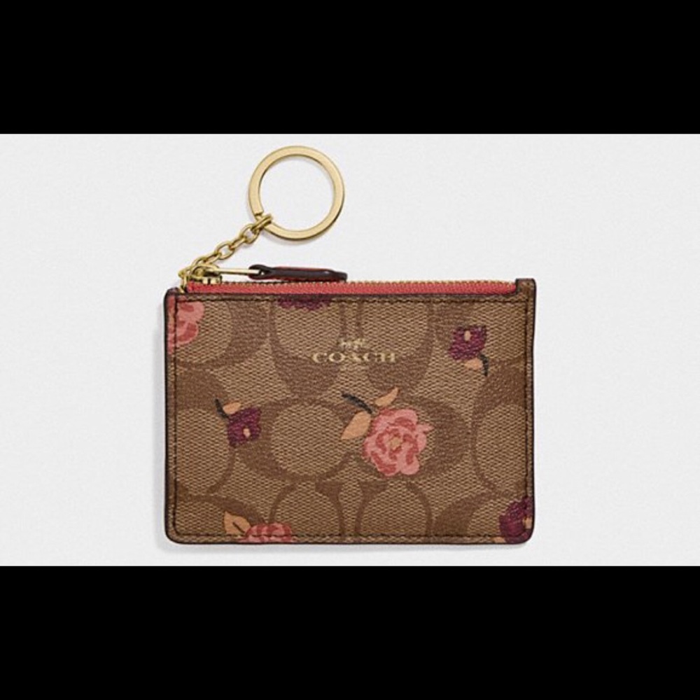 Coach Mini skinny id